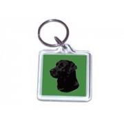 Labrador schwarz 020nl Schlüsselanhänger -