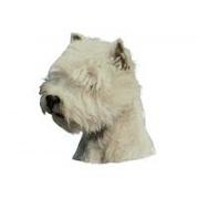 West highland white terrier huvud126T