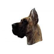 Great Dane brindle cropped177T